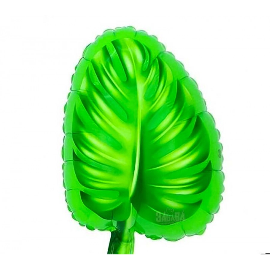 Фолиев балон  - Зелено листо