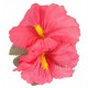 Карнавален аксесоар - хавайско цвете 1844P