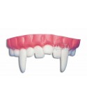 Горни вампирски зъби 06508