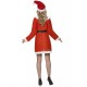 Коледен карнавален дамски костюм 23171