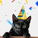 Коте