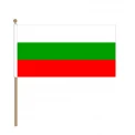 Национален флаг на Република България с дървена дръжка 20бр