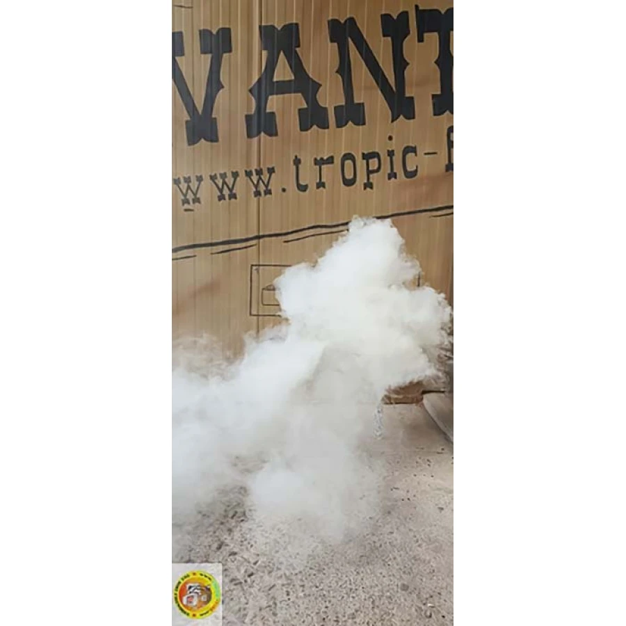 Парти димка в бял цвят TSM-22W