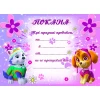 Парти покана за рожден ден - Скай и Еверест 10бр