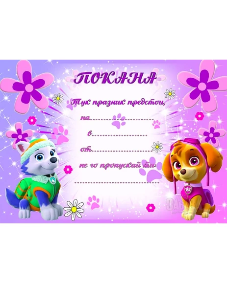 Парти покана за рожден ден - Скай и Еверест 10бр
