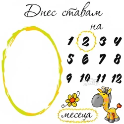 Парти украса - Платно за отбелязване растежа на бебето 100710-2