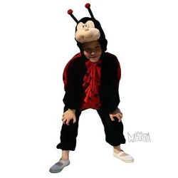 Детски костюм за калинка