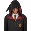Магическа визия в стил Gryffindor