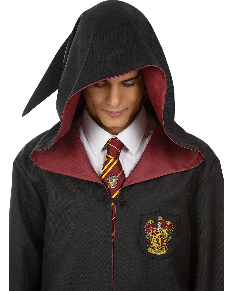 Магическа визия в стил Gryffindor