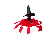 Карнавална шапка за вещица с пухена яка